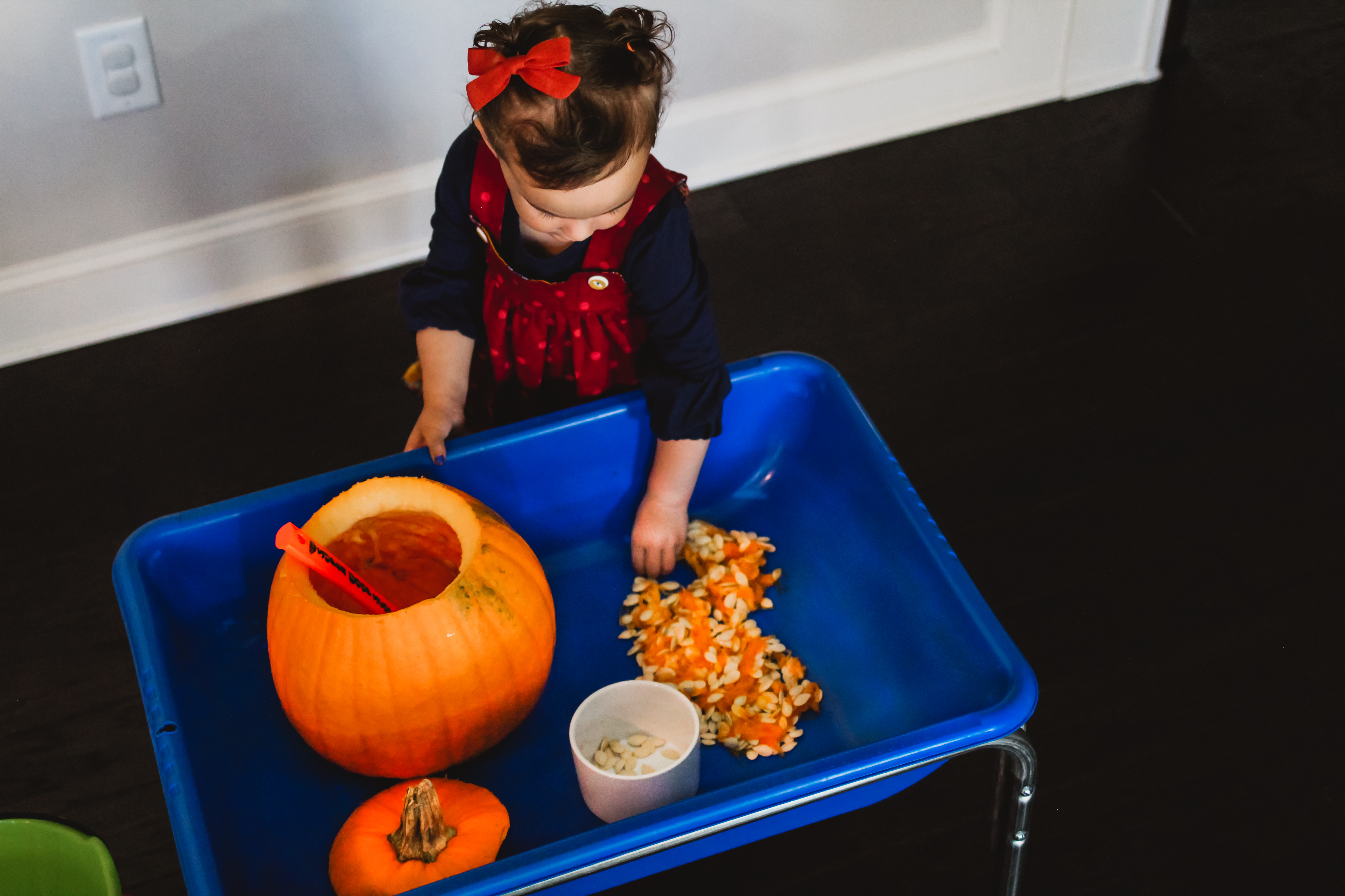 pumpkin sensory table