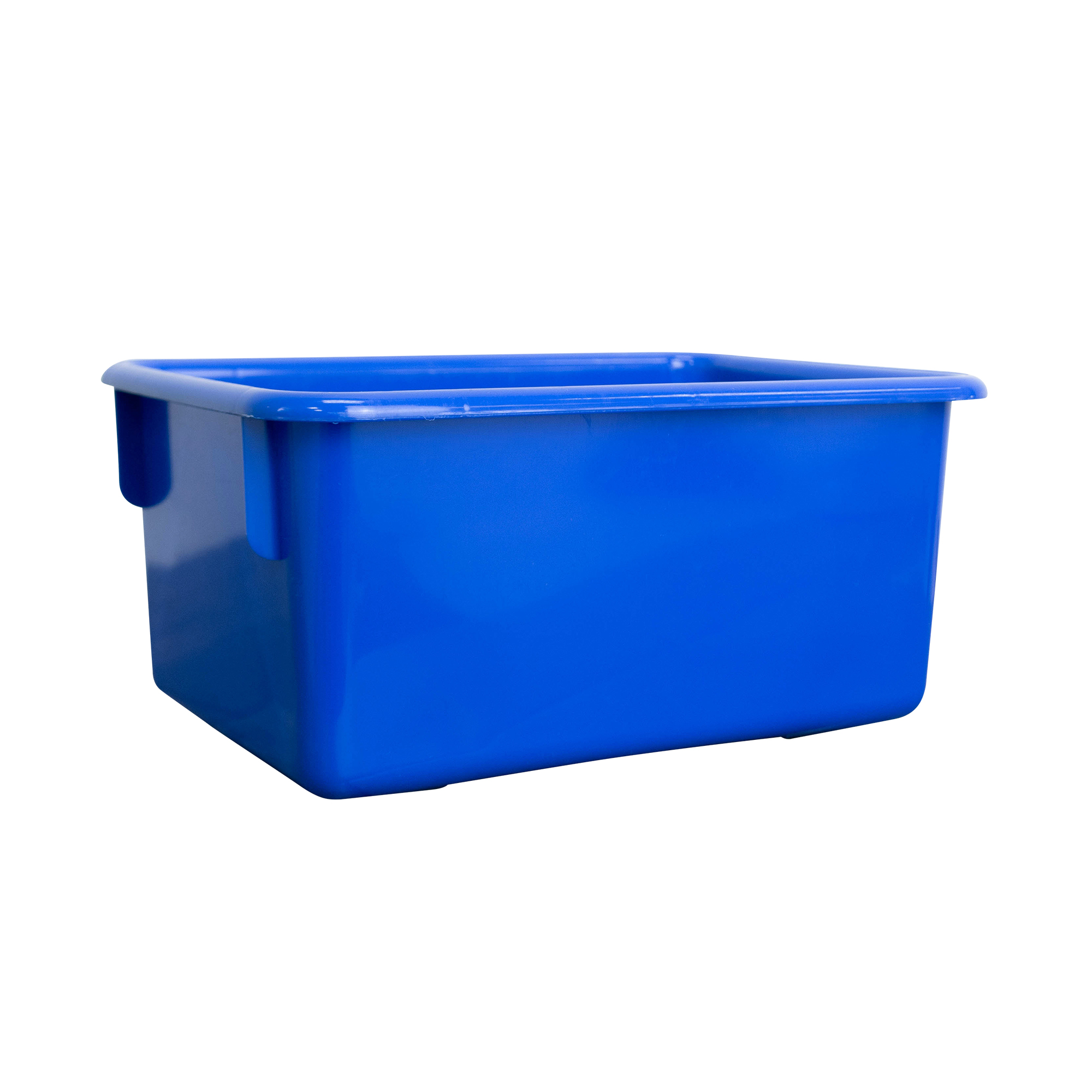 Blue Bin Storage