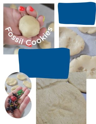 Fossil Cookies - Arts and Crafts Are Important for Kids All the Time