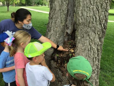 Nature school phenomenon grows with schools like JCPRD Natureplay Outdoor Exploration
