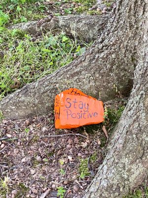 Kindness rocks for illustrating how to express appreciation