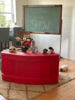 Puppet Shows for Social Emotional Learning